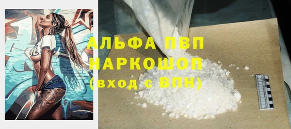 PSILOCYBIN Богданович