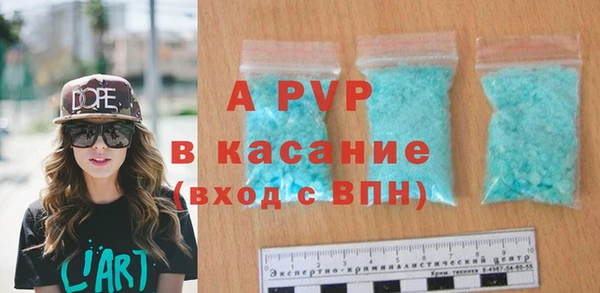 PSILOCYBIN Богданович