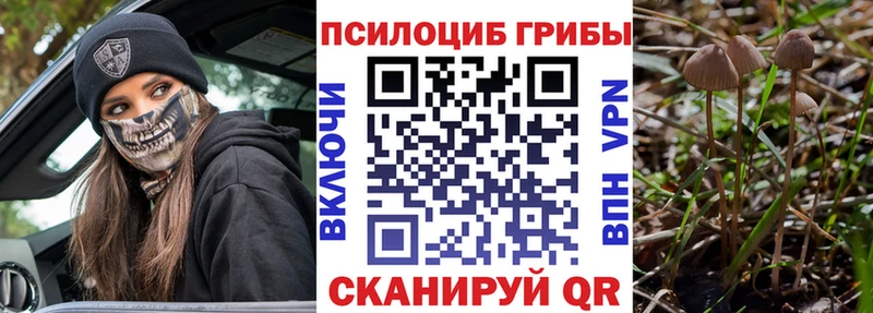 Галлюциногенные грибы прущие грибы  магазин продажи   Наро-Фоминск 